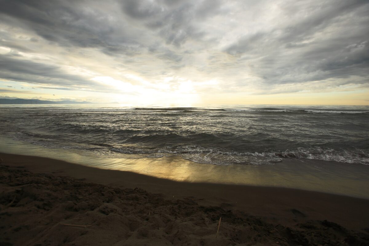 IMG_0088_deep_日陰