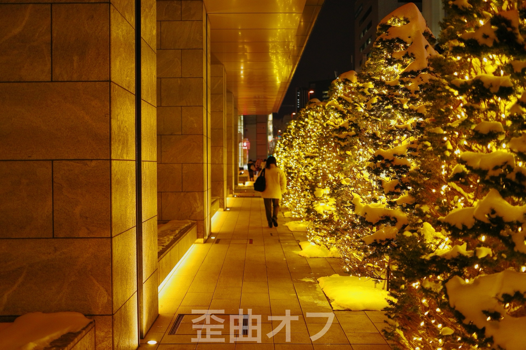 EOSR1800_RAW_歪曲オフ_18