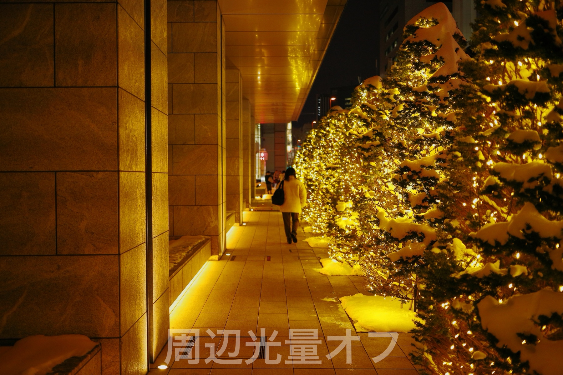 EOSR1800_raw_周辺光量オフ_18