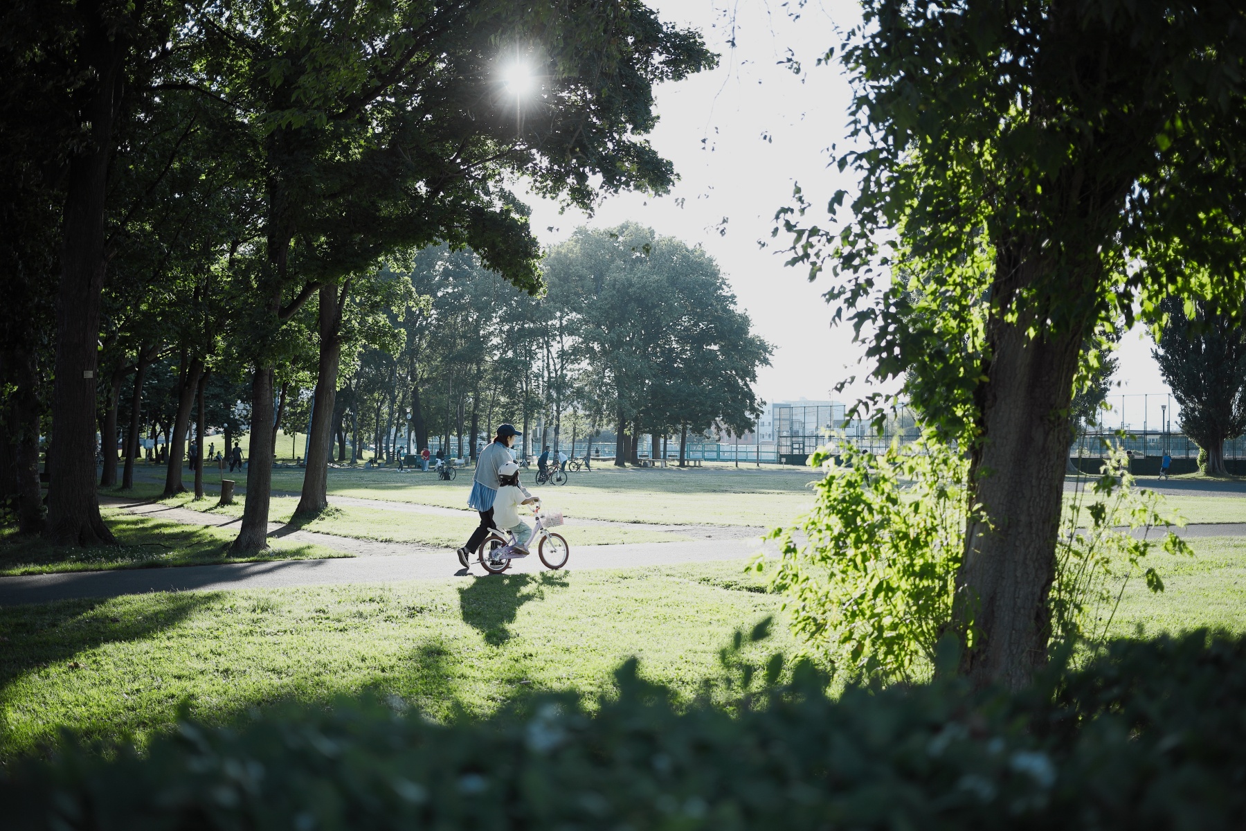 EOSR3928_snap-0.5